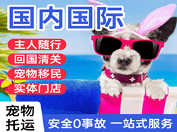 潮汕航空空运国际宠物托运 【国